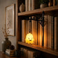 Bookshelf Lantern Light - Bookish Gifts For Book Lovers, Bookworms, Readers - Light Up Your Reading Nook