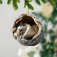 Himalayan Cat - Animal Christmas Ornament CH248