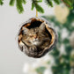 Maine Coon Cat - Animal Christmas Ornament CH249