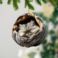 Persian Cat - Animal Christmas Ornament CH255