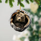 Bear - Animal Christmas Ornament CH271