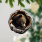 Bear - Animal Christmas Ornament CH272