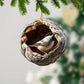 Chickadee - Animal Christmas Ornament CH278