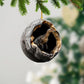 Dinosaur - Animal Christmas Ornament CH281