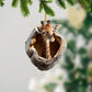 Giraffe - Animal Christmas Ornament CH291