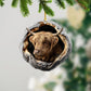 Highland Cattle - Animal Christmas Ornament CH293