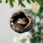 Snake - Animal Christmas Ornament CH319
