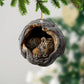 Tiger - Animal Christmas Ornament CH323