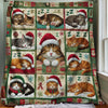 Christmas Sleeping Cat Blanket - D268 - Premium Blanket