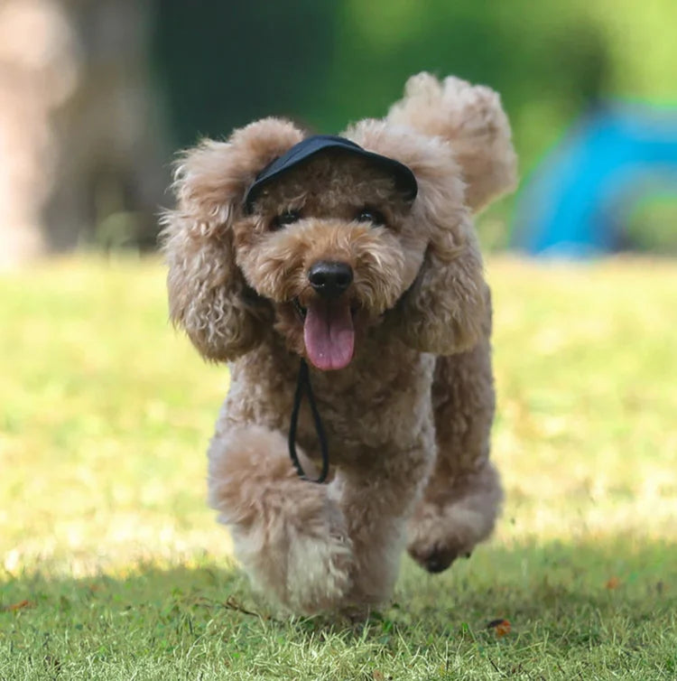 Outdoor Sun Protection Hat Pet Parent-child Set