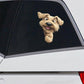 Soft-coated Wheaten Terrier Dog - Peekaboo Dog Head Car Sticker - DS001
