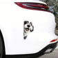English Sheep Dog - Peekaboo Dog Head Car Sticker - DS003