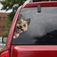 Cairn Terrier Dog - Peekaboo Dog Head Car Sticker - DS004