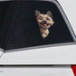 Cairn Terrier Dog - Peekaboo Dog Head Car Sticker - DS004