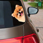 Pomeranian Dog - Peekaboo Dog Head Car Sticker - DS011
