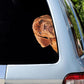 Dogue De Bordeaux Dog - Peekaboo Dog Head Car Sticker - DS016
