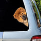 Chow Chow Dog - Peekaboo Dog Head Car Sticker - DS017