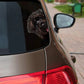 Bouvier Des Flandres Dog - Peekaboo Dog Head Car Sticker - DS019