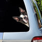 Boston Terrier Dog - Peekaboo Dog Head Car Sticker - DS020