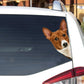 Basenji Dog - Peekaboo Dog Head Car Sticker - DS023