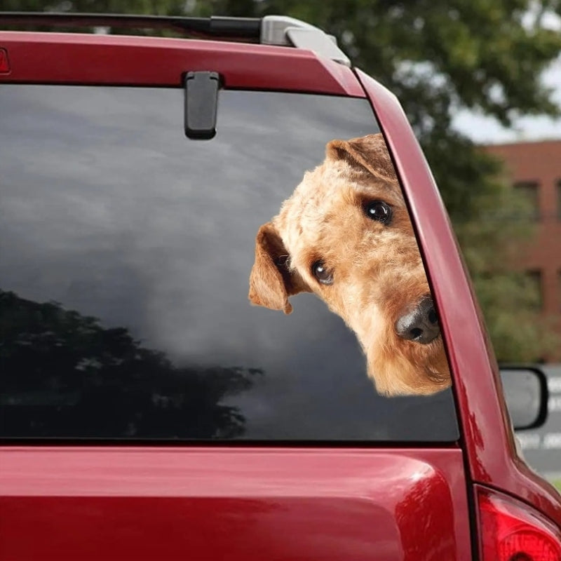 Airedale Terrier Dog - Peekaboo Dog Head Car Sticker - DS025