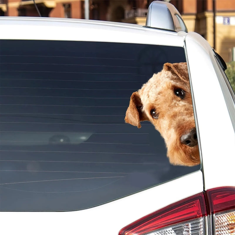 Airedale Terrier Dog - Peekaboo Dog Head Car Sticker - DS025