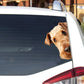 Airedale Terrier Dog - Peekaboo Dog Head Car Sticker - DS025