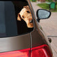 Airedale Terrier Dog - Peekaboo Dog Head Car Sticker - DS025