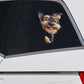 Welsh Terrier Dog - Peekaboo Dog Head Car Sticker - DS029
