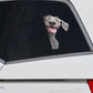 Weimaraner Dog - Peekaboo Dog Head Car Sticker - DS030