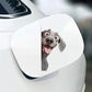 Weimaraner Dog - Peekaboo Dog Head Car Sticker - DS030