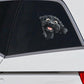 Portuguese Water Dog - Peekaboo Dog Head Car Sticker - DS034