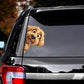 Goldendoodle Dog - Peekaboo Dog Head Car Sticker - DS040