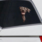 German Shorthaired Pointer Dog - Peekaboo Dog Head Car Sticker - DS042