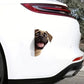 English Mastiff Dog - Peekaboo Dog Head Car Sticker - DS043