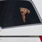 Chesapeake Bay Retriever Dog - Peekaboo Dog Head Car Sticker - DS044