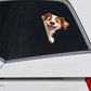 Brittany Spaniel Dog - Peekaboo Dog Head Car Sticker - DS046