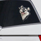 Alaskan Malamute Dog - Peekaboo Dog Head Car Sticker - DS051