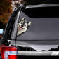 Alaskan Malamute Dog - Peekaboo Dog Head Car Sticker - DS051