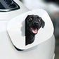 Black Labrador Dog - Peekaboo Dog Head Car Sticker - DS053