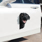 Black Labrador Dog - Peekaboo Dog Head Car Sticker - DS053