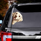 Labrador Dog - Peekaboo Dog Head Car Sticker - DS054
