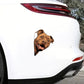Pitbull Dog - Peekaboo Dog Head Car Sticker - DS056