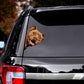 Pitbull Dog - Peekaboo Dog Head Car Sticker - DS056
