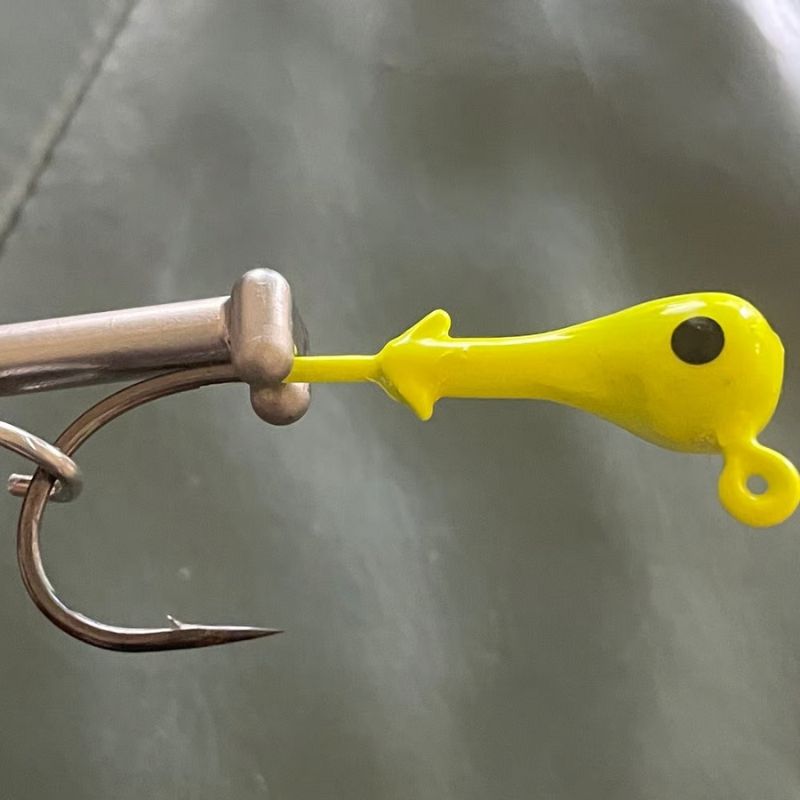 Quick Release Fish Hook Extractor