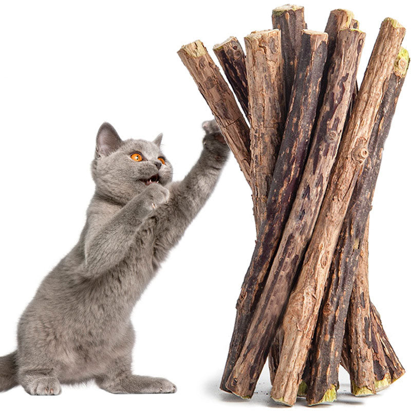 Silvervine Cat Chew Sticks – Natural Dental Toy For Cats