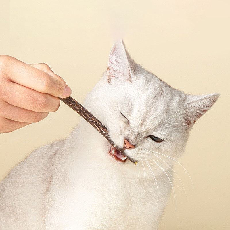 Silvervine Cat Chew Sticks – Natural Dental Toy For Cats