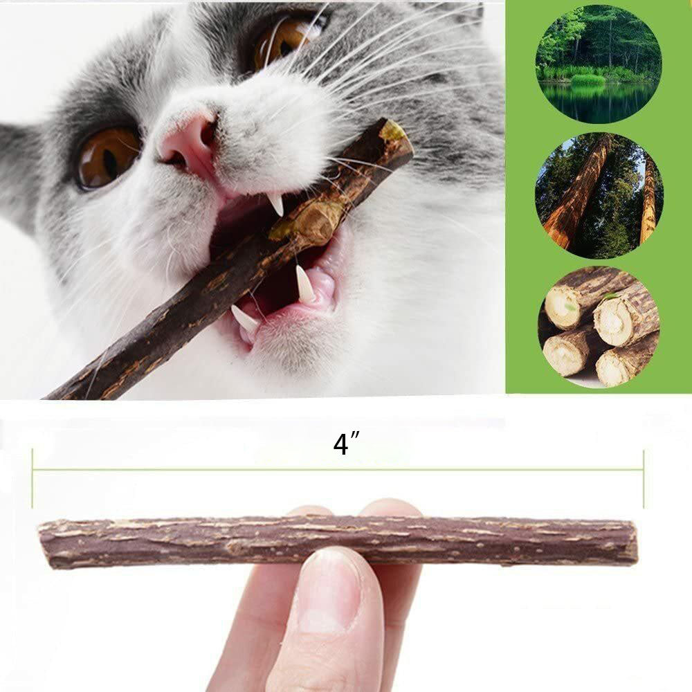 Silvervine Cat Chew Sticks – Natural Dental Toy For Cats