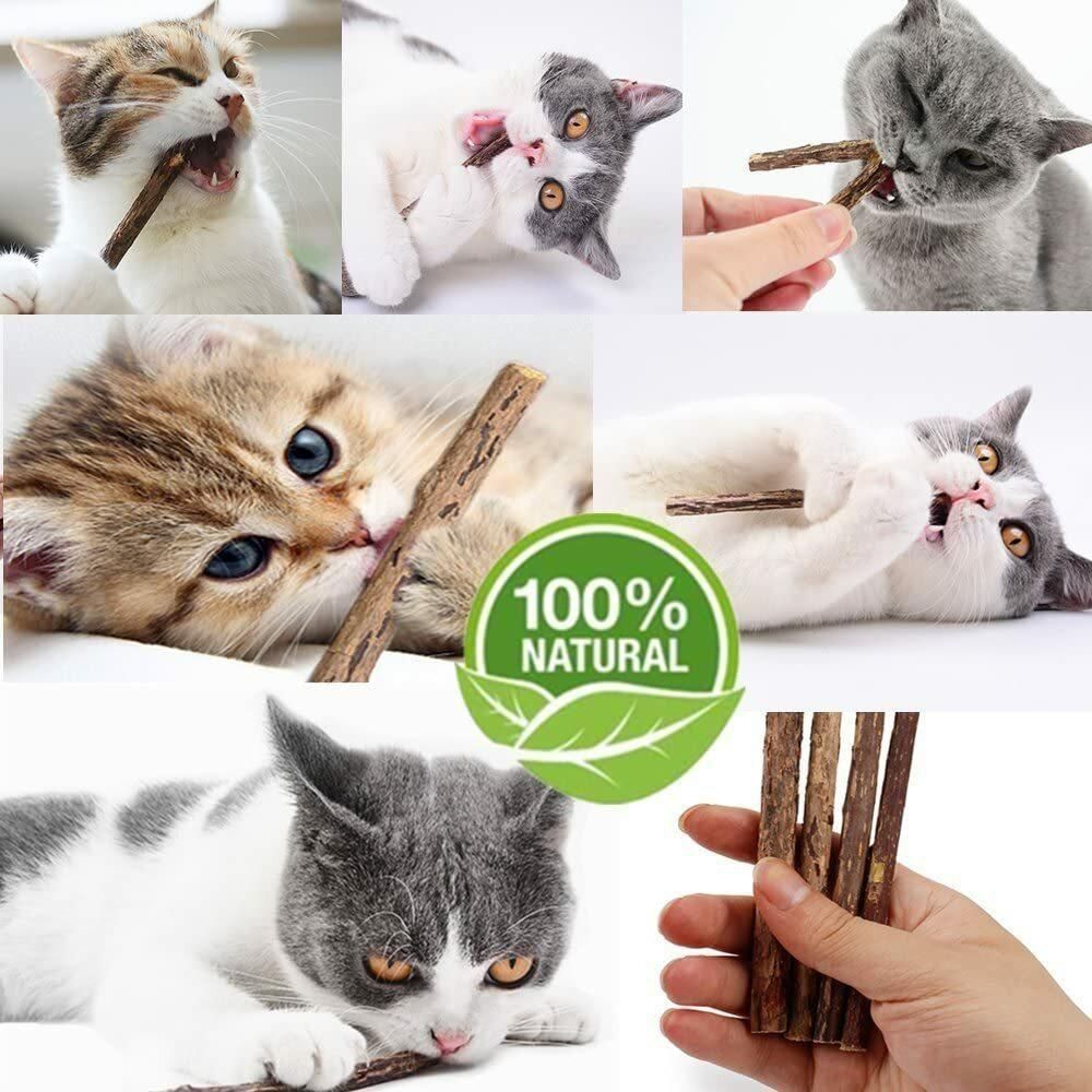 Silvervine Cat Chew Sticks – Natural Dental Toy For Cats