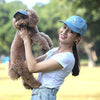 Outdoor Sun Protection Hat Pet Parent-child Set